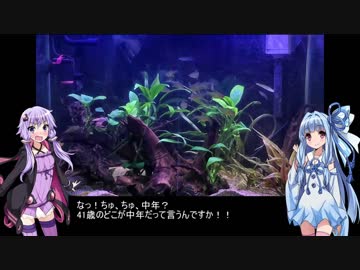 結月ゆかりとアクアリウム夜話　第4夜