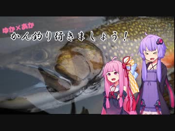 【ゆかあか釣り】かん釣り行きましょう！
