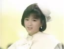 酒井法子 夢冒険