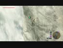 自由すぎるリンクの冒険【プレイ動画その２１８】