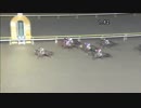 2017年11月13日大井競馬11R プロキオン賞(B1-二・B2-一) ビリーバローズ