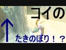 コイがたきのぼりをするか試してみた