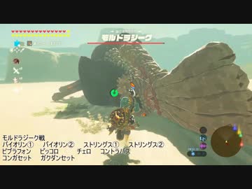【バンブラP】モルドラジーク戦【ゼルダの伝説BotW】