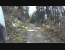 百目木沢林道　山形県西川町　2017/11/12