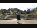 【すぅたろ】ハイドアンド・シーク【踊ってみた】
