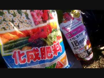 本気農業　「いちご」つくって400万稼ぐ　その6.8 特別篇　実況解説