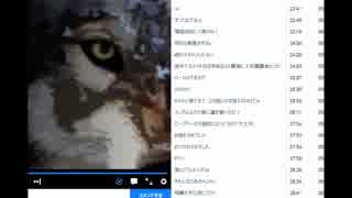 人気の Thelongdark 動画 1 059本 6 ニコニコ動画