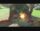 自由すぎるリンクの冒険【プレイ動画その２１９】