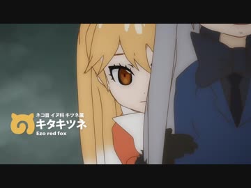 キタキツネマン