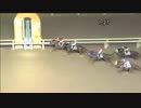 2017年11月15日大井競馬10R グリーンチャンネルカップ(B2-二組) ジェロニモ