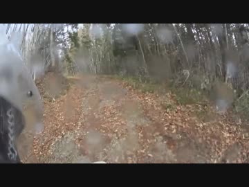 林道伏野辺山線　山形県朝日町　2017/11/12