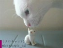 ミクロキャット01