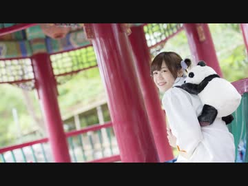 【パンダと一緒に】彗星ハネムーン 踊ってみた【CHIii】