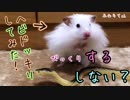 【ハム動画】ハムスターにへびドッキリ仕掛けてみた！