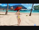 【DOAXVV】こころ　グラビアパネル４
