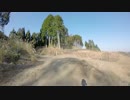 野尻阿舎利林道（仮称）#239