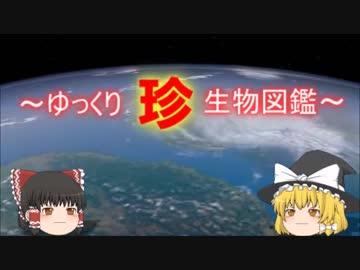～ゆっくり　珍　生物図鑑～　新・60回