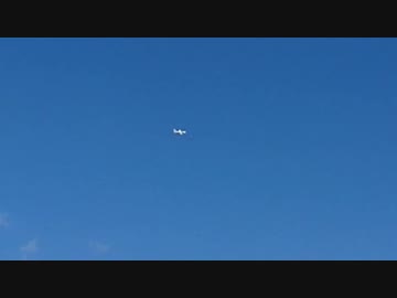 東武動物公園でけもフレ痛飛行機を撮ってみた・・んだけど+おまけ
