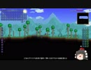 Terraria1