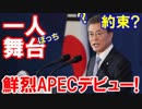 【ＡＰＥＣでひとりぼっちの文大統領】 ちょっと可哀そうかもですね！