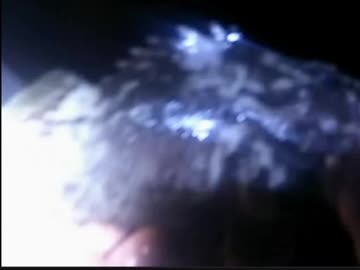 釣り　夜のサビキ釣り　ブラクリ　ドンコ　アジ　サバ