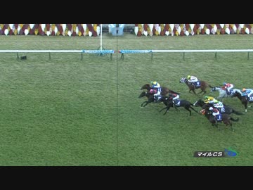 【ペルシアンナイト】 2017 第34回 マイルチャンピオンシップ(ＧＩ)