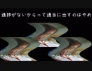 モーレスター 7s 1