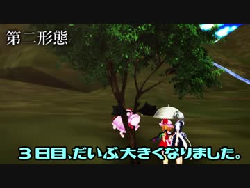 【東方MMD】紅魔館の一生