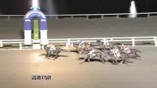 2017年11月18日高知競馬10R B-2組 ヴードゥーフェスト