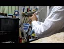 【フルート】わたしたちのストーリーを演奏してみた【けものフレンズ】