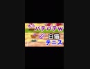 体力の限界。寒くてスポーツの秋どころじゃない４人の白猫テニス