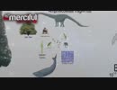 アッラー - 創造の主 Allah - The Lord of Creation