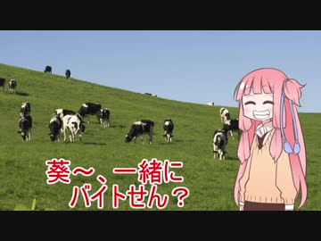 茜「葵、一緒にバイトせん？」
