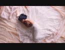 【洋楽再エンコテスト】Ciara - I Bet