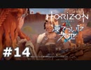 【DLC】Horizon Zero Dawn【凍てついた大地】＃１４