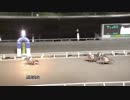 2017.11.19 高知競馬8R エトオー協賛 篠原正和高知移住特別 トウカイマインド