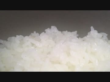 お米を作ってみた