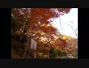 どうかしてるMV