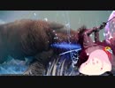 【ｾﾔﾅｰ劇場】ｾﾔﾅｰ「うちな～王の剣～ﾔﾃﾞｰ」【FF15戦友】♯01