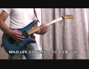 B'z WILD LIFE (GUITAR COVER)
