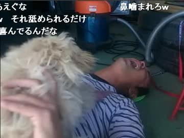 犬　ごじゃっぺ動物ランド　犬のあやし方　