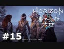 【DLC】Horizon Zero Dawn【凍てついた大地】＃１５