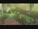 無限フロドラでドラゴン素材はぎ取り祭りを開催してみた