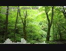 らき☆すた / もってけ!セーラーふく (Riddim Ver.)