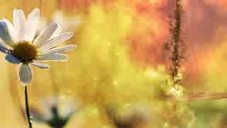 Le fil de l'amour [ Romantic Music & Dance ]