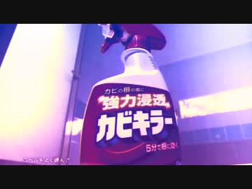 Mold Cleaning
