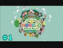 コミ症とどう森　「どうぶつの森ポケットキャンプ」　part1