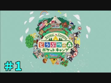 コミ症とどう森　「どうぶつの森ポケットキャンプ」　part1