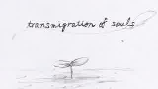 transmigration of souls