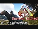 【ARK: Survival Evolved】脳筋が行く恐竜生活　第二十五話「鉄製恩恵」